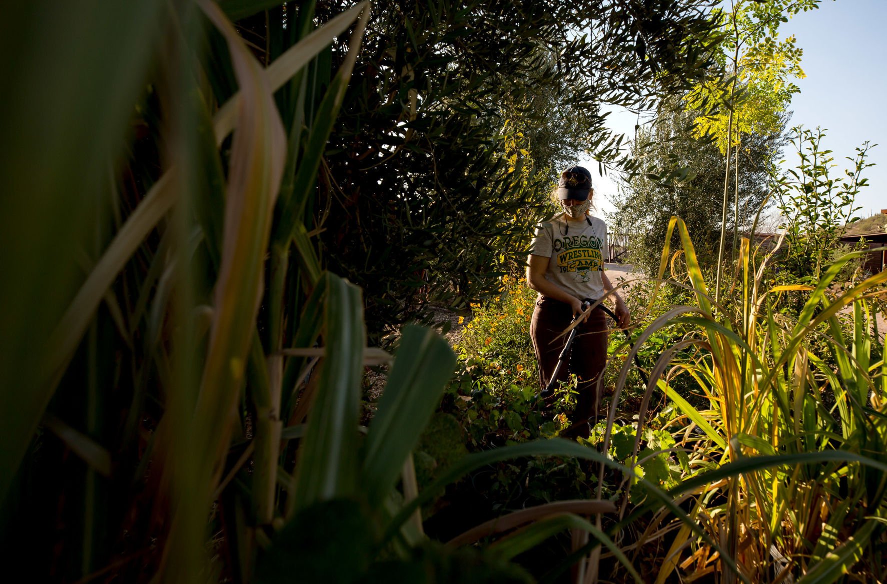 Mission Garden